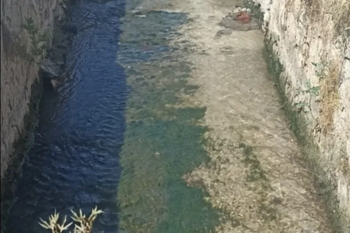 Dilek’te Dere Yeniden Temiz Akıyor: Haber Sonrası Yetkililer Harekete Geçti.